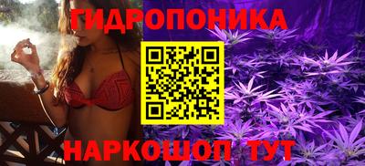 Альфа ПВП Заволжье