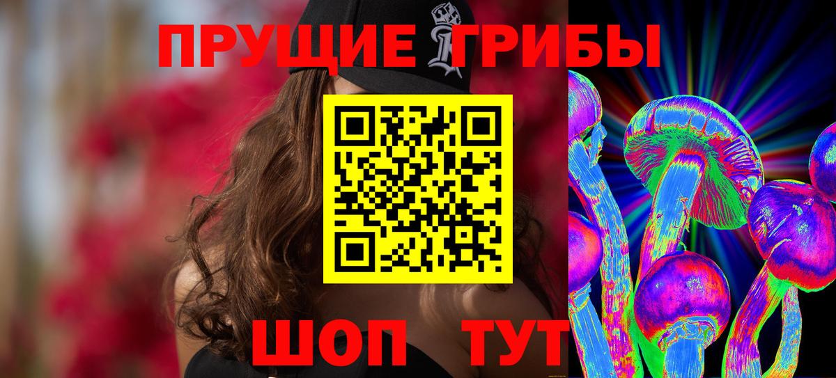 Галлюциногенные грибы Psilocybine cubensis Ливны