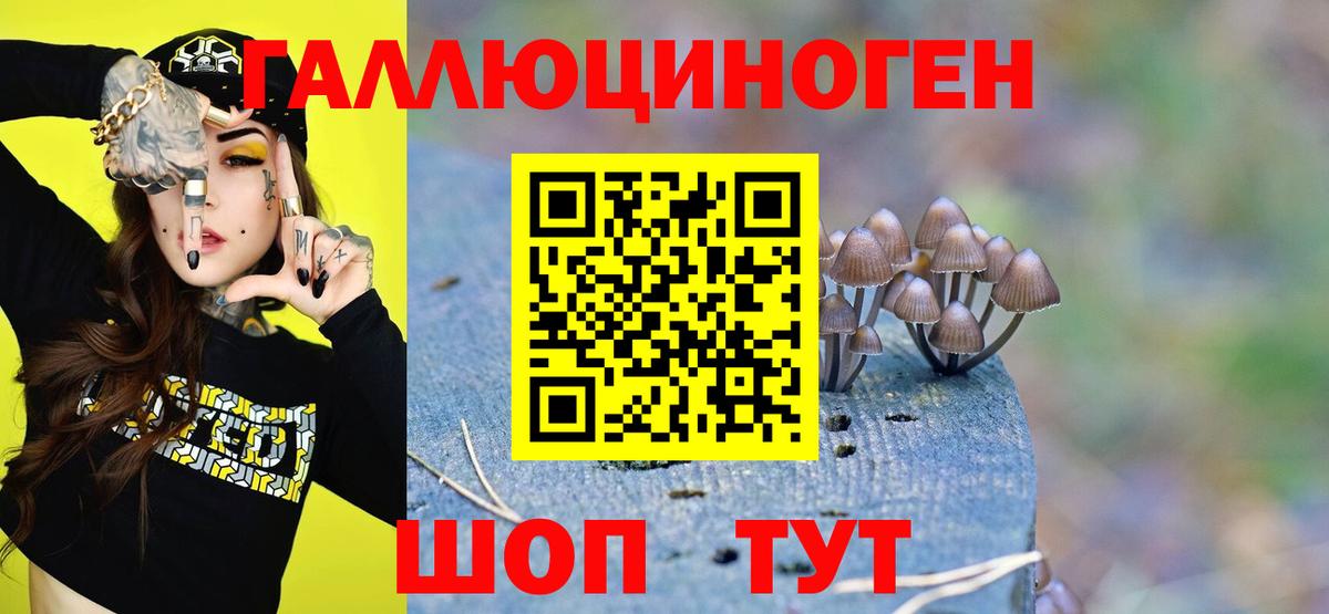 Галлюциногенные грибы GOLDEN TEACHER  Псилоцибиновые грибы MAGIC MUSHROOMS  Ливны  Вход с VPN 